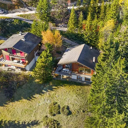 La Frenaie A Avec Vue Sur Les Alpes Chalet Anzère